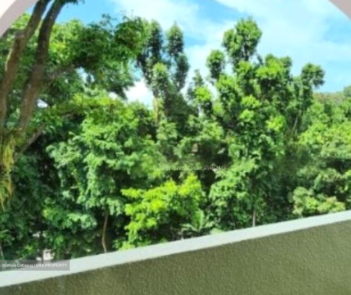 The Draycott (D10), Apartment #466346541